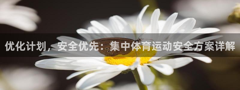 oety欧亿：优化计划，安全优先：集中体育运动安全方案详解