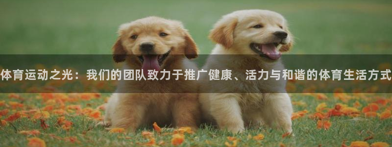 oety欧亿：体育运动之光：我们的团队致力于推广健康、活力与和谐的体育生活方式