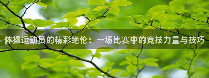oety欧亿：体操运动员的精彩绝伦：一场比赛中的竞技力量与技巧