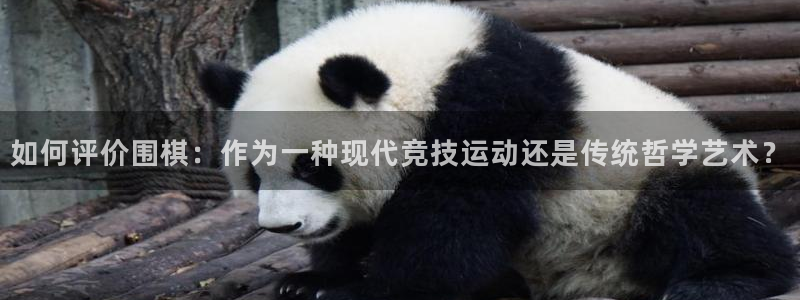 oety欧亿：如何评价围棋：作为一种现代竞技运动还是传统哲学艺术？