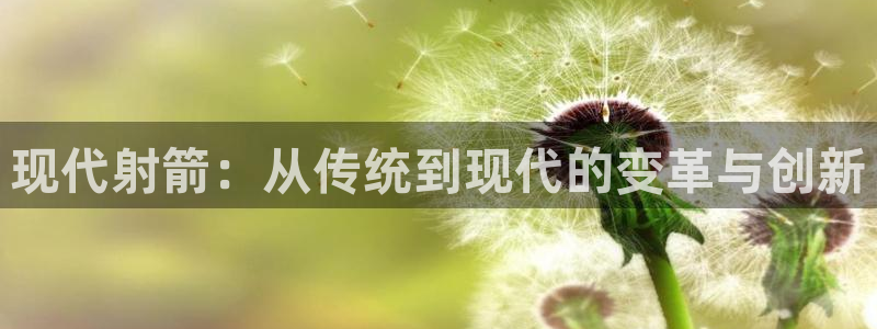oety欧亿：现代射箭：从传统到现代的变革与创新