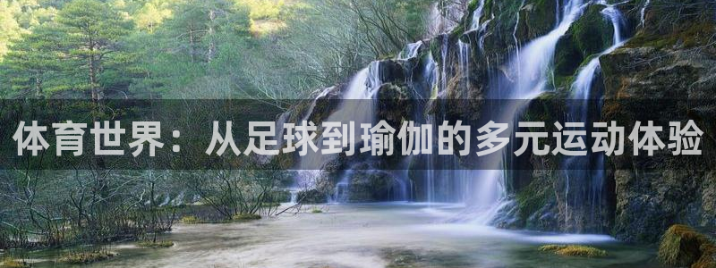 oety欧亿：体育世界：从足球到瑜伽的多元运动体验