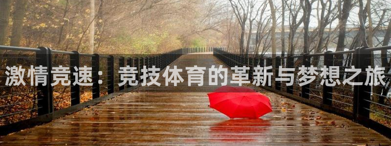 oety欧亿：激情竞速：竞技体育的革新与梦想之旅
