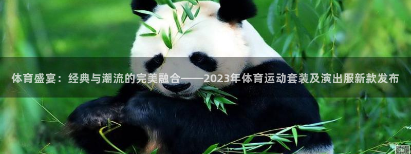 oety欧亿：体育盛宴：经典与潮流的完美融合——2023年体育运动套装及演出服新款发布
