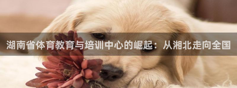 oety欧亿