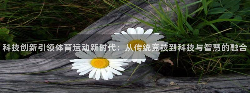oety欧亿