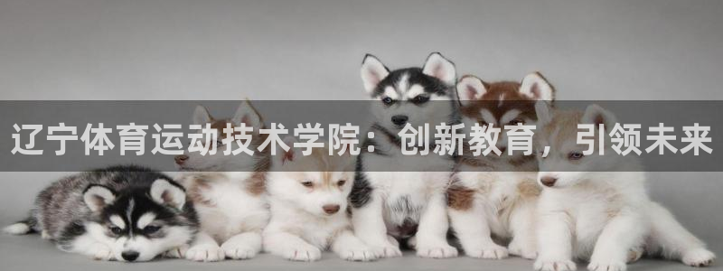 oety欧亿：辽宁体育运动技术学院：创新教育，引领未来