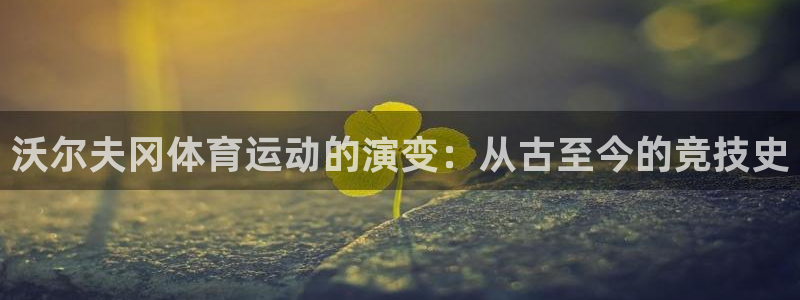 oety欧亿：沃尔夫冈体育运动的演变：从古至今的竞技史