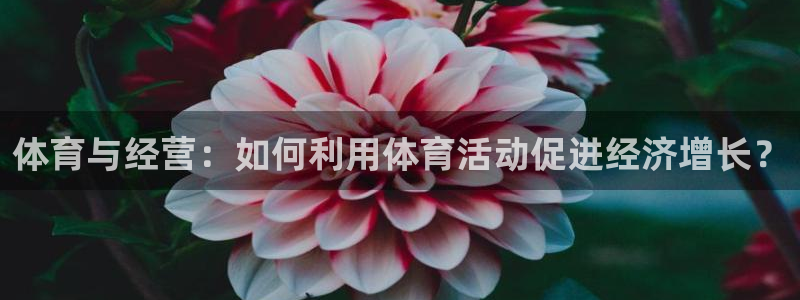 oety欧亿：体育与经营：如何利用体育活动促进经济增长？