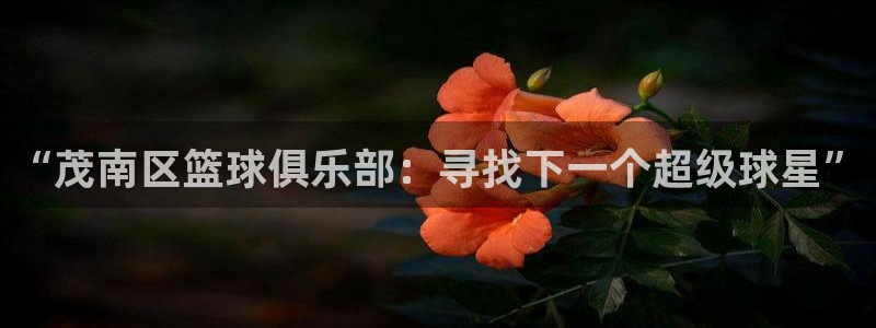 oety欧亿：“茂南区篮球俱乐部：寻找下一个超级球星”