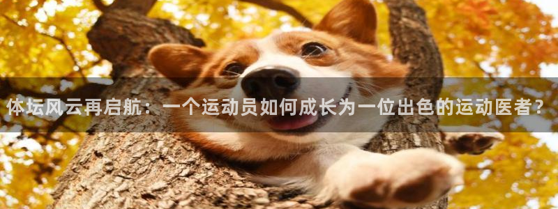 oety欧亿：体坛风云再启航：一个运动员如何成长为一位出色的运动医者？