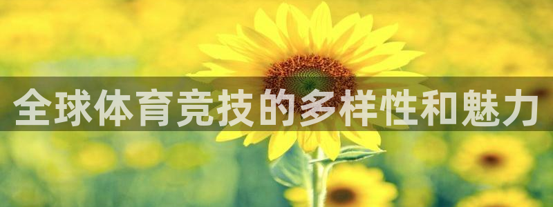 oety欧亿：全球体育竞技的多样性和魅力